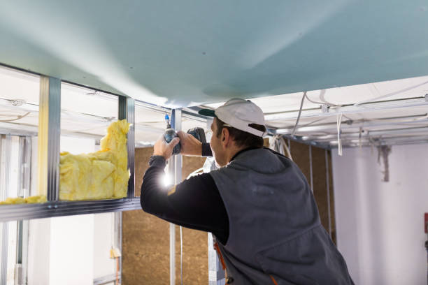 Best Blown-in Insulation in Altavista, VA