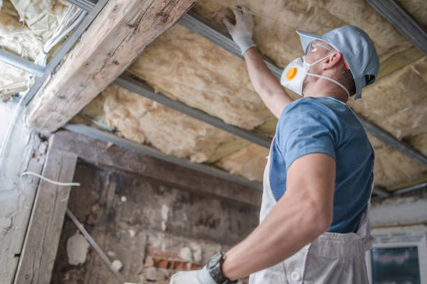 Best Insulation Maintenance and Repair in Altavista, VA