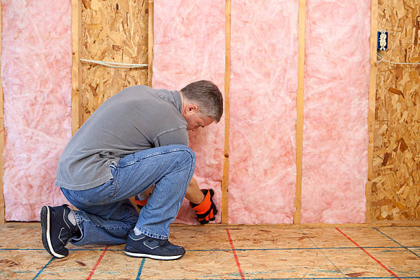 Best Cellulose Insulation in Altavista, VA