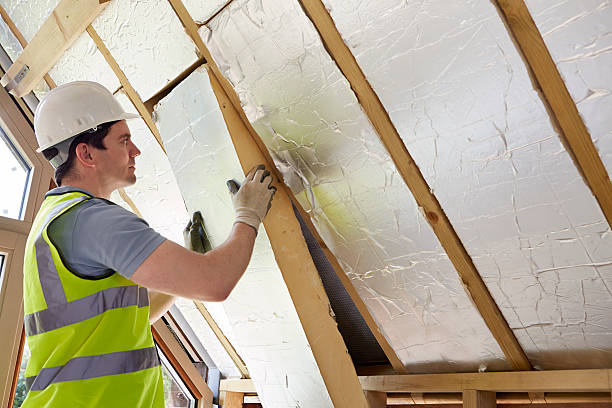 Best Geographic-Specific Insulation Services in Altavista, VA