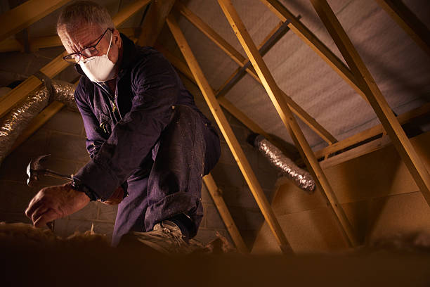 Types of Insulation We Offer in Altavista, VA